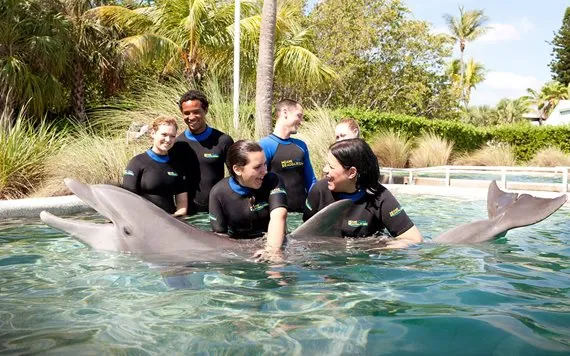 Encuentro con Delfines en el Seaquarium de Miami