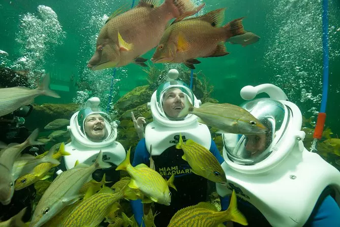 Seaquarium de Miami-Ubicacion horarios precios