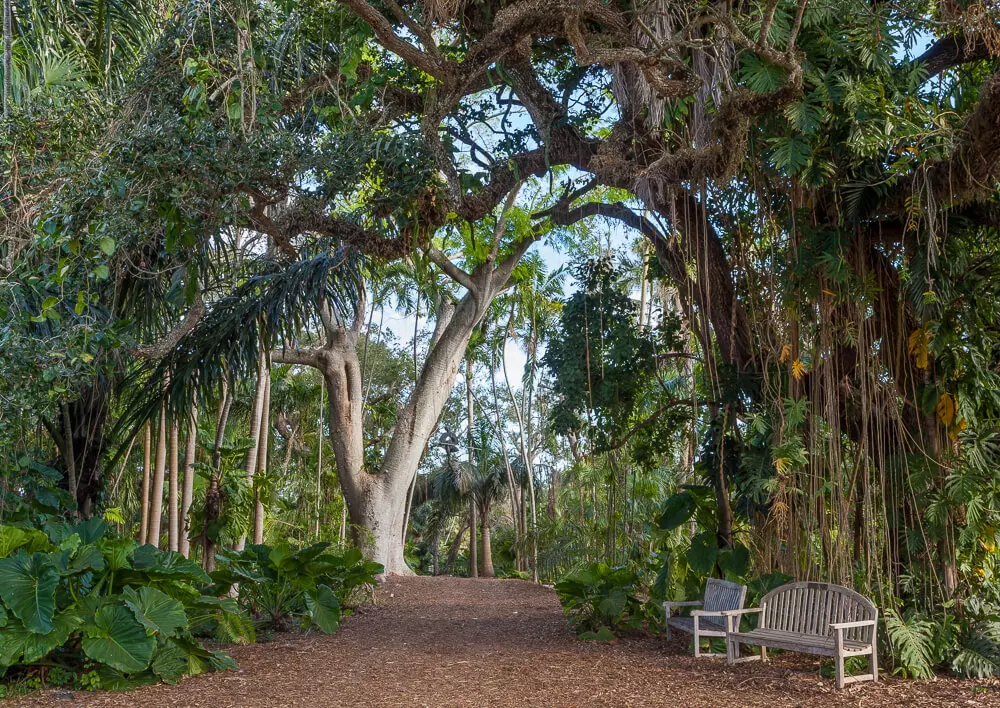 Fairchild Tropical Botanic Garden - Lugares que visitar en Coral Gables Miami