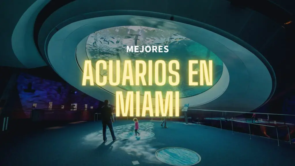 Mejores-Acuarios-en-Miami-RankeaMiami