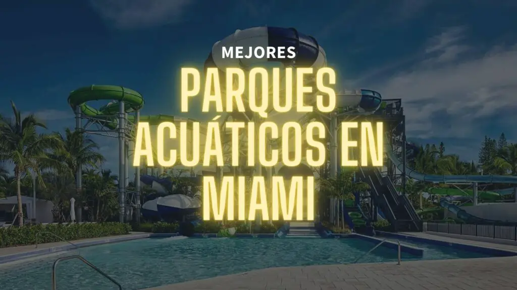 Mejores-Parques-Acuaticos-de-Miami