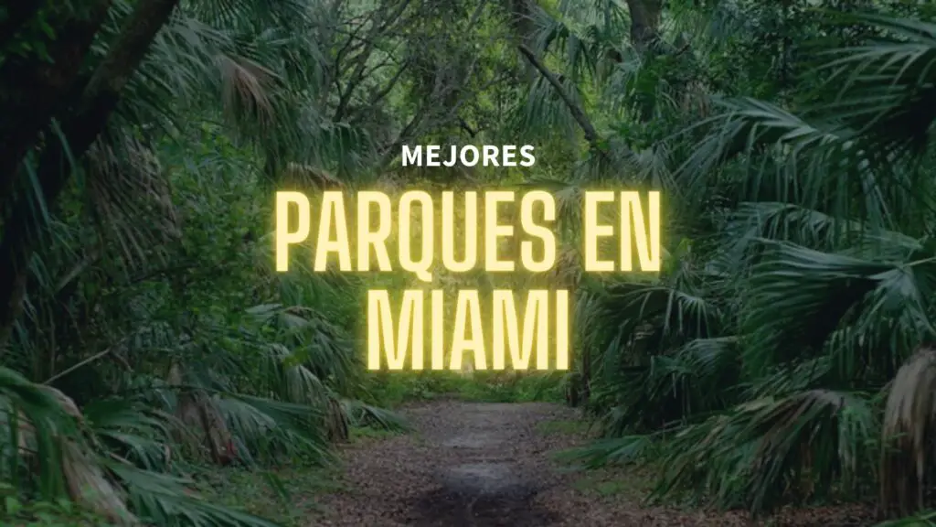 Mejores-Parques-en-Miami-RankeaMiami