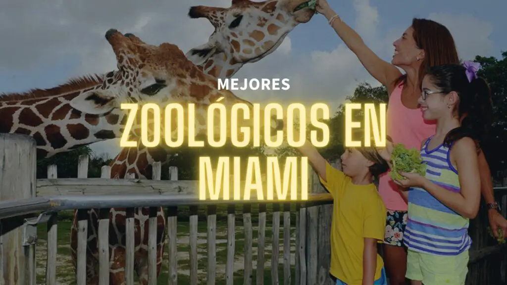 Mejores Zoologicos en Miami - RankeaMiami